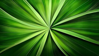 Fototapeta premium radial abstract green background