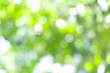 Green bokeh light nature from tree and sky background is a shiny naturally occurring shadow that is not clear but beautiful.