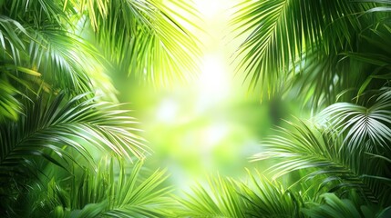 Obraz premium Lush green palm leaves frame bright sunlight.