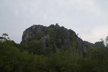 Exploration of rocky terrain in a lush forest outdoor adventure nature photography scenic view environmental awareness