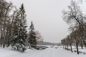 Winter park, stone bridge and trees in the snow
