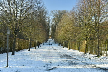 L'uns des sept all&eacute;es sous le neige au domaine d'Arenberg &agrave; Enghien 