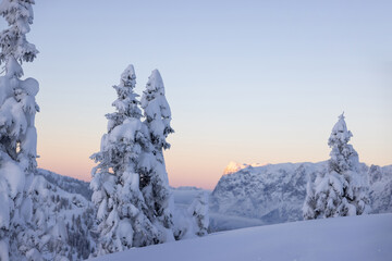 Winter landscape with snow covered fir trees and glowing mountain peaks on the sunset. Austrian Alps