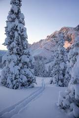 Ski trail in the snowy forest. Picturesque winter scene in the Alps