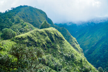 Naklejka premium Majestic mountain peaks surrounded by lush greenery nature scene serene landscape overhead view tranquility and beauty
