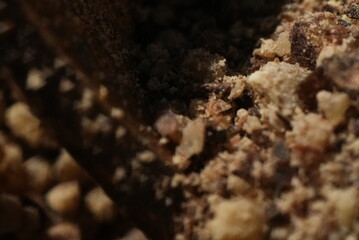 Macro close up of ground pepper