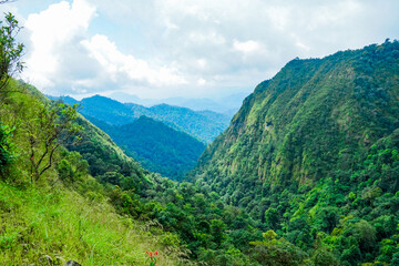 Fototapeta premium Exploring majestic mountain valleys lush green forests nature photography scenic landscape outdoor adventure tranquil environment