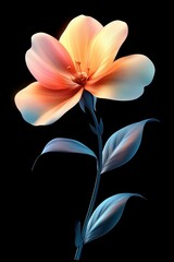 Obraz premium Radiant Blossom: A Captivating Floral Beauty