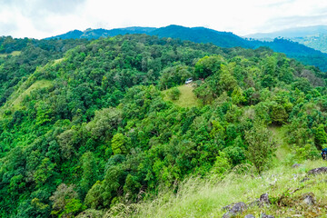 Lush green mountain landscape scenic overlook nature photography vibrant forest aerial view eco-tourism inspiration