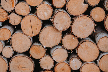 Fototapeta premium Stacked wooden logs ready for winter in a cozy storage area