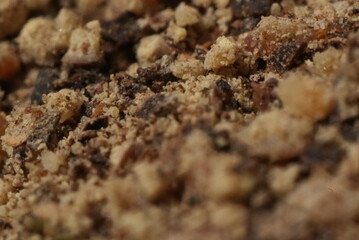 Macro close up of ground pepper