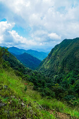 Exploring the verdant wilderness mountain range scenic landscape lush environment aerial view nature's majesty