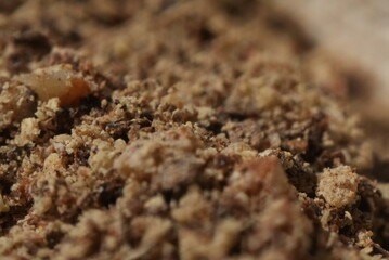 Macro close up of ground pepper