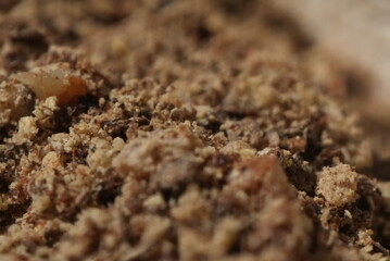 Macro close up of ground pepper