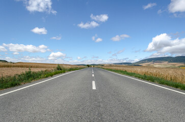 A long, straight asphalt road stretches into the horizon on a sunny day. The road is flanked by golden wheat fields and green grass. A blue sky with fluffy white clouds provides a dramatic backdrop.