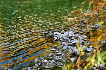 Riverside. Una masa de agua con rocas y plantas en primer plano. El agua es verde y tiene una superficie reflectante.