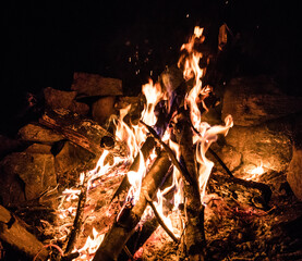 Warm Fire