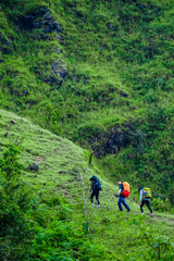 Hiking adventure in lush green hills outdoor expedition nature exploration scenic viewpoint team building concept