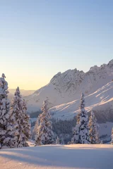 Winter in mountains. An amazing winter scenery with a lot of snow. © Olha Sydorenko