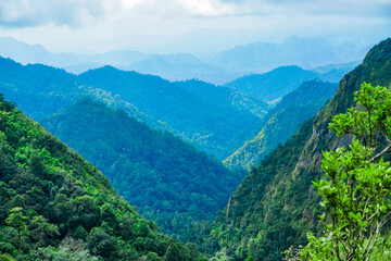 Exploring lush mountain valleys scenic landscape nature photography serene environment panoramic view tranquility in wilderness