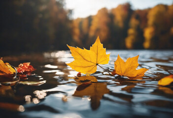 Autumn leaves floating on a serene lake in a vibrant forest landscape during golden hour