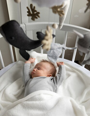 newborn baby wakes up in your white modern cot, mobile sea animals, grey pajama