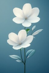 Obraz premium Delicate White Floral Elegance on Serene Blue Background