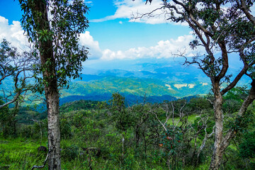 Breathtaking mountain view nature landscape scenic photography tropical forest panoramic perspective natural beauty exploration