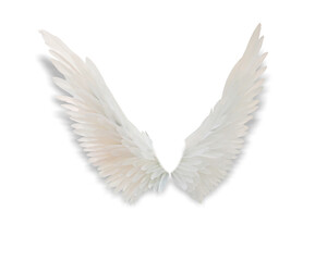white angel wings isolated on white background. This has clipping path.