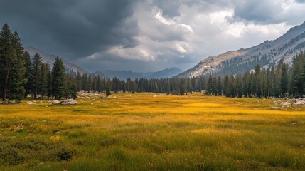 Breathtaking Landscape of Lush Green Meadow Surrounded by Majestic Mountains Under a Dramatic Cloudy Sky, Capturing the Essence of Nature's Beauty