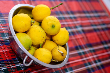 Fresh Lemons in Metal Bowl on Plaid Cloth. A shiny metal bowl filled with fresh yellow lemons placed on a colorful plaid cloth, symbolizing freshness and natural ingredients.


