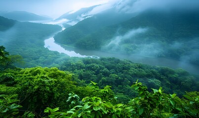 Obraz premium Forest Canopy and river, An expansive view of the dense, unbroken green canopy with the river snaking through