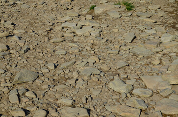 rocky road from Korbielów to Pilsko in the Beskid Mountains