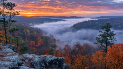 Fototapeta premium Autumn Sunrise Over Foggy Valley Landscape