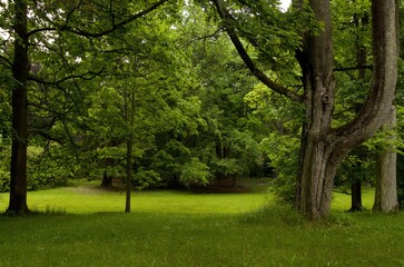 Fototapeta premium View of the spa park full of flowers Konstantinovy ​​lazne (konstantinsbad) czech republic Europe