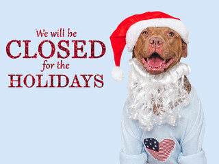 Signboard with the inscription We will be closed for the Holidays. Cute brown dog and text for the sign. Closeup, indoors. Studio shot. Pets care concept