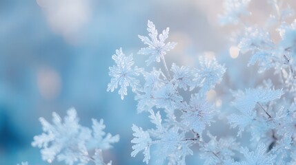 Intricate crystal snowflakes resting on sparkling snow with soft blue light, evoking a magical winter wonderland feeling..