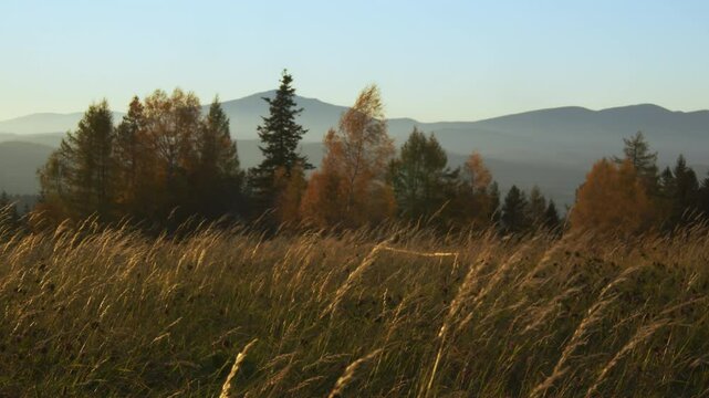 Meadow beautifully lighten up by the golden hour of the evening with mountains on the horizon. Brown and dark greens of Polish temperate mixed forest in autumn. High quality 4k footage