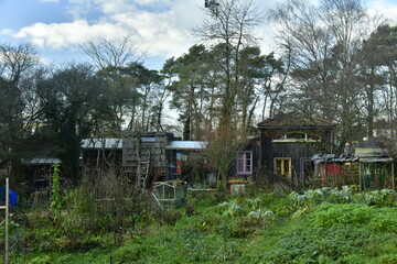 En pleine v&eacute;g&eacute;tation, les habitations de fortunes du monde d&eacute;connect&eacute; du quartier de la Baraque &agrave; Louvain-la-Neuve 