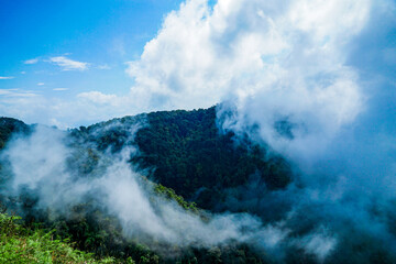 Mist-covered mountains lush forest nature photography outdoor adventure scenic view serenity and exploration