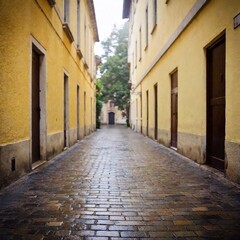 Obraz premium A deserted alleyway with wet cobblestones. 