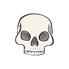 Hand drawn sketchy human skull isolated on white background. Doodle skeleton head tattoo design