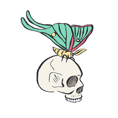 Hand drawn human skull with teal luna moth wings isolated on white background. Bohemian skeleton head with butterfly design