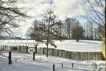 Le jardin de l'abbaye du Rouge-Clo&icirc;tre sous la neige &agrave; Auderghem (Bruxelles) 