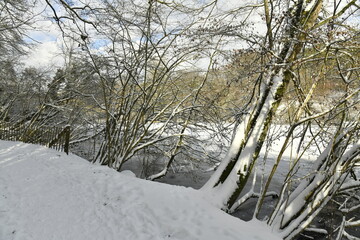 Les arbres surplombant les eaux gel&eacute;es du grand &eacute;tang des Clabots en for&ecirc;t de Soignes &agrave; Auderghem (Bruxelles) 