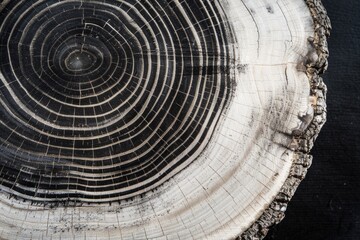 A detailed view of a wooden plank with natural grain and texture