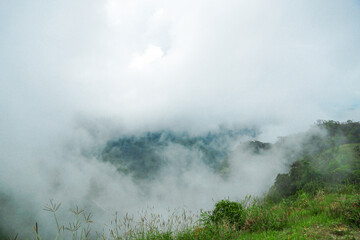 Misty mountain landscape nature reserve scenic photography foggy environment high viewpoint serene wilderness experience