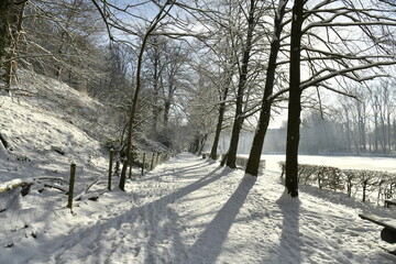 La route pour la promenade entourant l'&eacute;tang des P&ecirc;cheurs sous la neige &agrave; Auderghem 