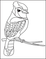 Blue jay bird vector art Coloring Page For Kids.