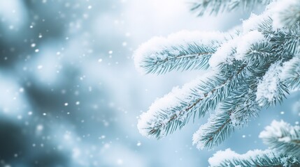 Snow-covered fir branch with soft focus snowflakes